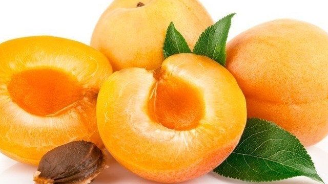 Как вырастить абрикос в домашних условиях