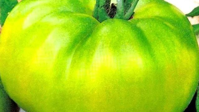 Томат Изумрудное яблоко: отзывы тех кто сажал помидоры об их урожайности, фото семян, описание сорта и характеристика