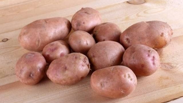 Картофель «Синеглазка»: описание сорта, фото и характеристики корнеплода картошки