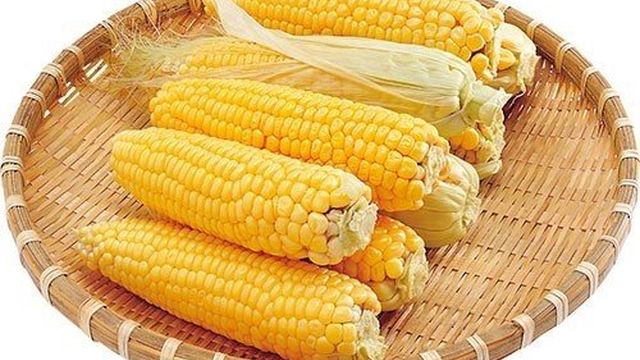 Сколько по времени и как правильно варить кукурузу в початках