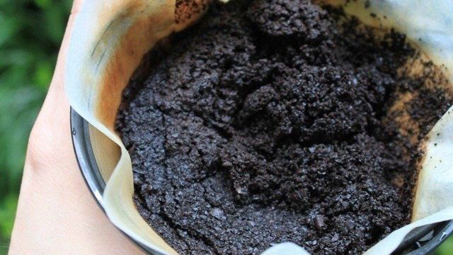 Правила применения кофейной гущи для удобрения огорода и рассады
